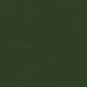 Seattle Green